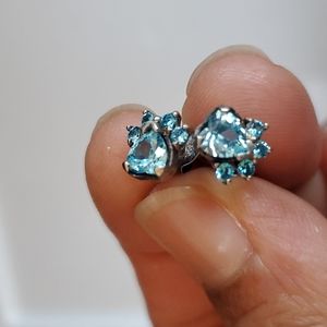 Paw 🐾 print Birthstone Earrings.